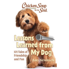 Chicken Soup for the Soul Lessons Learned from My Dog by Amy Newmark P