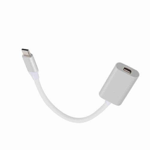 USB 3.1 Typ-C auf Mini DisplayPort Adapter für Macbook Silber