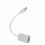 USB 3.1 Typ-C auf Mini DisplayPort Adapter für Macbook Silber 13