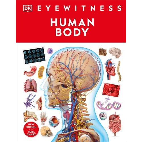 Human Body by DK Hardcover Book