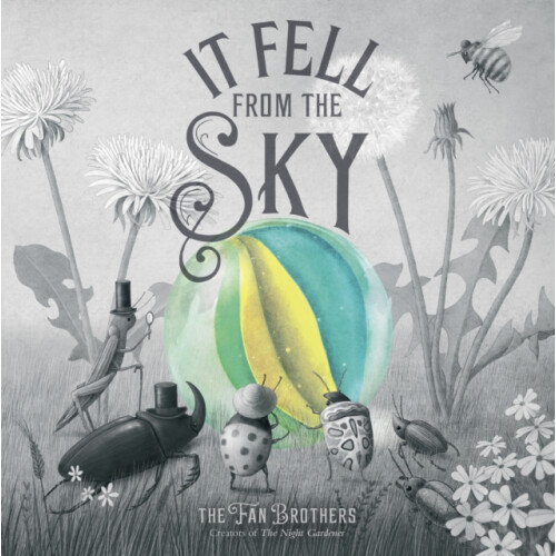 It Fell From The Sky by Eric Fan Paperback Book
