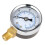40 mm 0 ~ 200 psi 0 ~ 14 bar Poolfilter 5