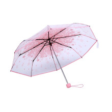 Pink Cherry Blossom Transparent Faltbarer Regenschirm Kompakt Mode für Damen