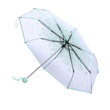 1 Stück modischer transparenter Regenschirm, hellgrüner Kirschblüten-Faltdesign