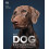 The Dog Encyclopedia by DK Hardcover Book 1