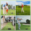 Golf Swing Trainer for Swing Plane & Alignment, Golf Training Aids with 2 x 1M 7