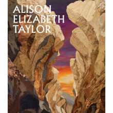 Alison Elizabeth Taylor The Sum of It Hardcover Book