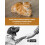 Small Animal Neuroanatomic Lesion Localization Practice Book Paperback 1