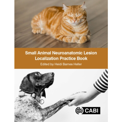 Small Animal Neuroanatomic Lesion Localization Practice Book Paperback