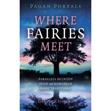 Pagan Portals Where Fairies Meet by Daniela Simina Paperback Book