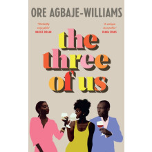 The Three of Us by Ore AgbajeWilliams Hardcover Book