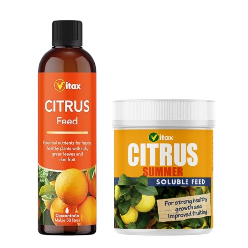 Vitax Vitax Citrus Liquid 250ml+Soluble Summer Feed 200g
