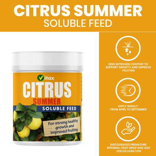 Vitax Vitax Citrus Liquid 250ml+Soluble Summer Feed 200g 2