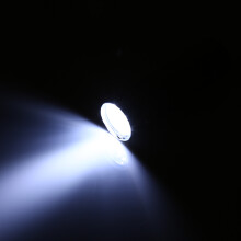 LED-Ei-Leuchten-Tester Lampe in Silber, batteriebetrieben für Geflügelbrutmaschinen