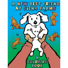 A New Best Friend at Siena Farms by Lyndon Haviland Paperback Book