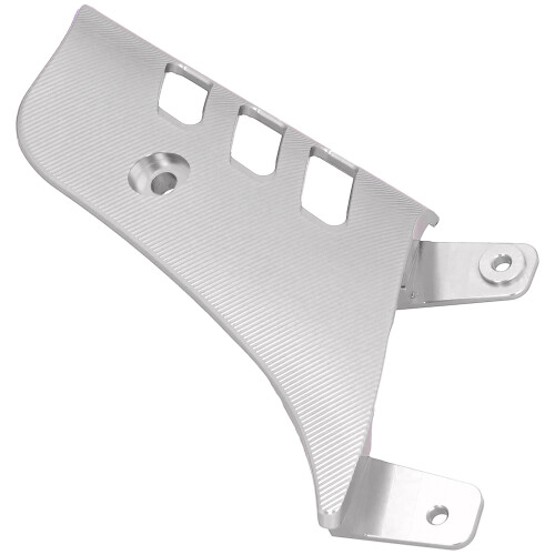 Schwingarmabdeckung für GTS125/200/300 2013-2020 Silber