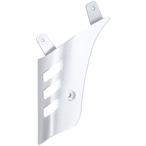 Schwingarmabdeckung für GTS125/200/300 2013-2020 Silber 1