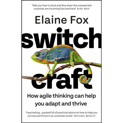 Switchcraft by Elaine Fox Paperback Book