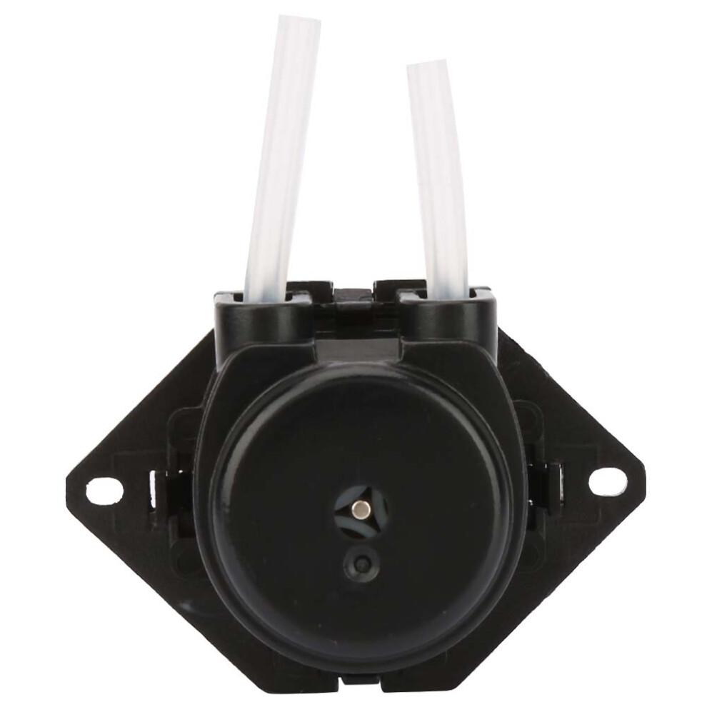 Mini 6V Silent Peristaltic Pump Titration Dc Self Priming Flat Black 9391358471958