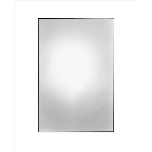 Zoe Leonard Available Light Hardcover Book