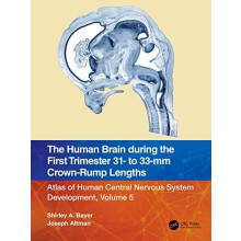 The Human Brain during the First Trimester 31 to 33mm CrownRump Length