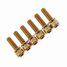 6 Stück M5 x 18 mm Golden Titanium Fahrrad-Schaftbolzen mit Unterlegscheiben Set