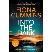 Into the Dark by Fiona Cummins Paperback Book