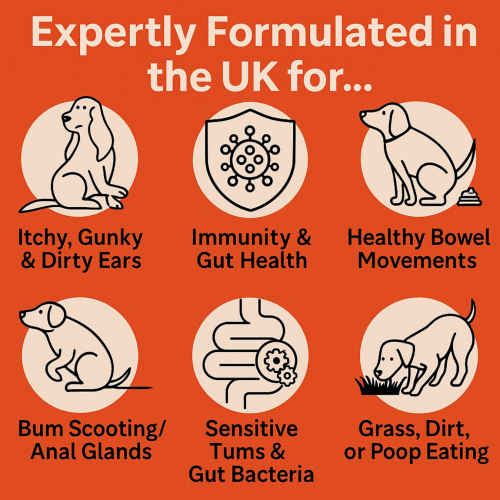 MAXBOX Pre & Probiotic Digestive Treats for Dogs 1