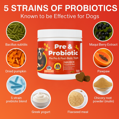 MAXBOX Pre & Probiotic Digestive Treats for Dogs 2