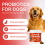 MAXBOX Pre & Probiotic Digestive Treats for Dogs 6