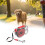 Retracting Pet Leashes with Fast Release Lock Easy-White 1 3