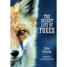 The Secret Life of Foxes by Chloe Petrylak Hardcover Book