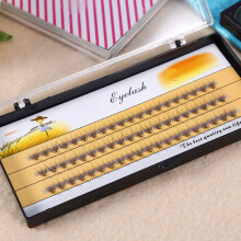 Natural Soft 3D False Eyelash Fans Deluxe Volume 8mm Wimpern