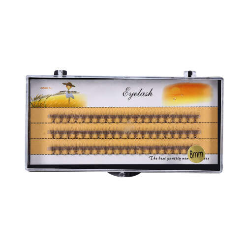 Natural Soft 3D False Eyelash Fans Deluxe Volume 8mm Wimpern 1