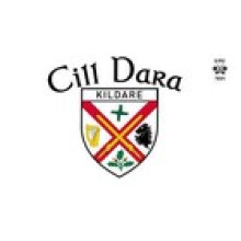 Ireland County KILDARE 5 x 3 ft CHEQUERED Flag County English & Irish
