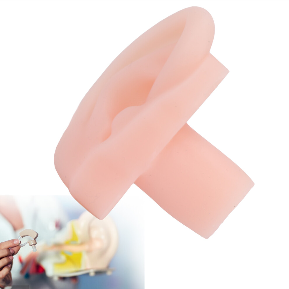 Silicone Soft Ear Model - Flexible Right Ear for Hospital & Display