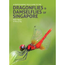 A Photographic Field Guide to the Dragonflies amp Damselflies of Singa