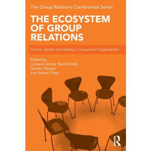 The Ecosystem of Group Relations Paperback Book