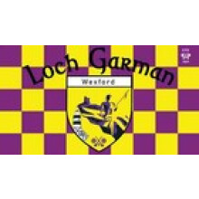 Ireland County WEXFORD 5 x 3 ftCHEQUEREDFlagCounty