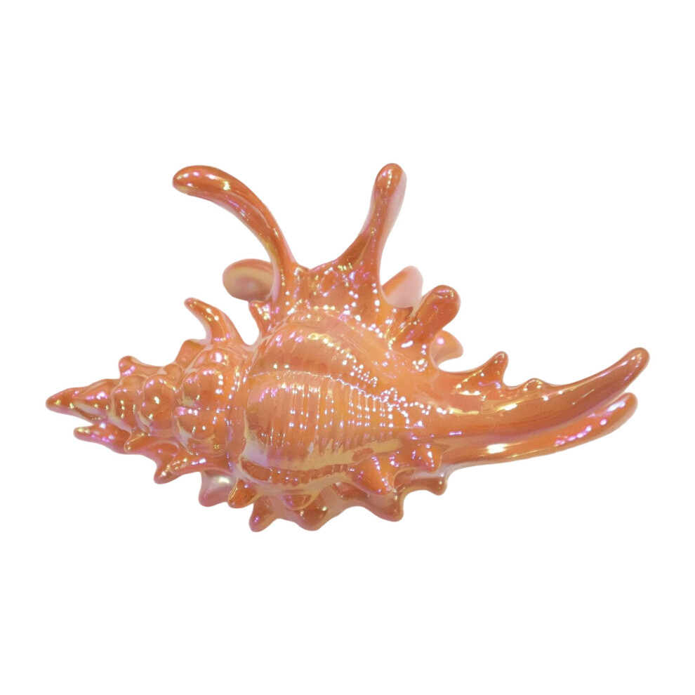 Elegant Conch Shaped Hair Claw Clip Acrylic Hairpin For-Orange 7755000222725
