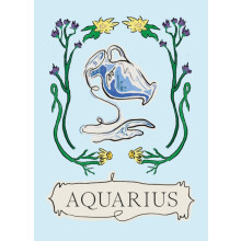 Aquarius by Liberty Phi Hardcover Book