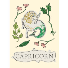 Capricorn by Liberty Phi Hardcover Book