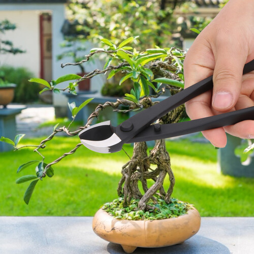 Handgeschmiedete Bonsai-Astschneider, konkave 2