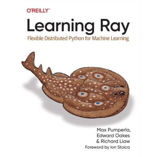 Learning Ray by Richard Liaw Paperback Book