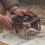 Folding Campfire-Grill Stainless Steel Grate Barbeque Grill 2