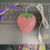 Stylish Pink USB Mouse Compact Optical Gaming Mouse for Office 6