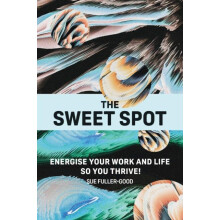 The Sweet Spot by Sue FullerGood Paperback Book