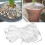 2 Roll White Roses Anti-Collision 10