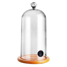 Cloche à fumer en plastique, couvercle de dôme alimentaire de