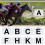 Training Arenas Marker for Event and Equestrian-4 Piece Set 4